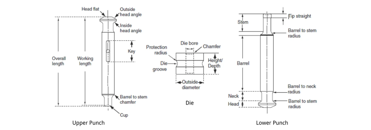 Tablet punch specifications diagram showing barrel diameter working length and cup depth